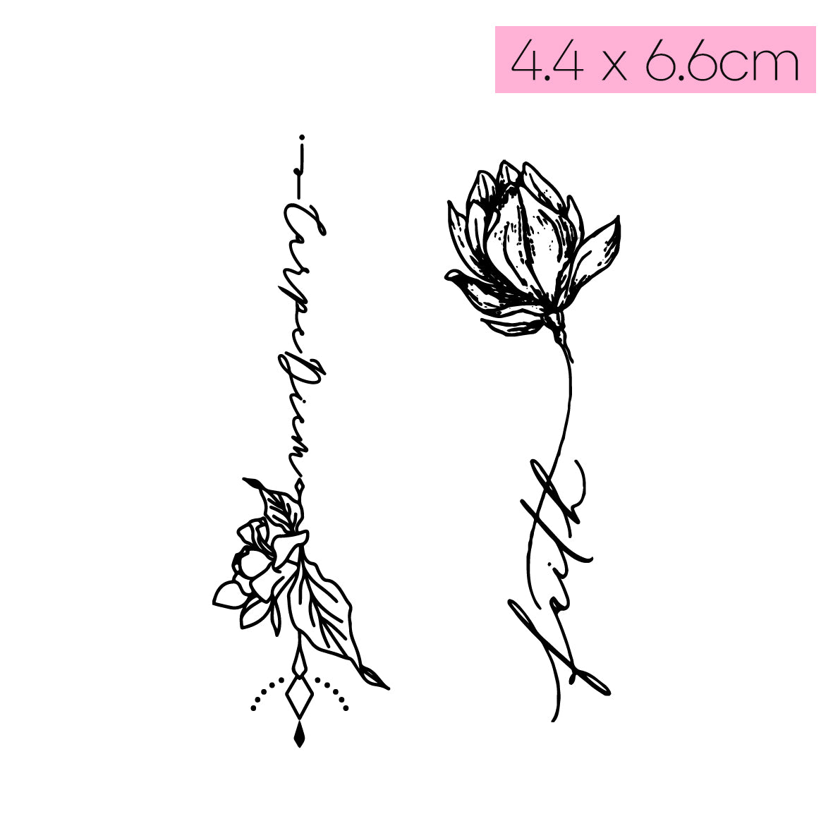 [Q12]Flower Carpe Diem