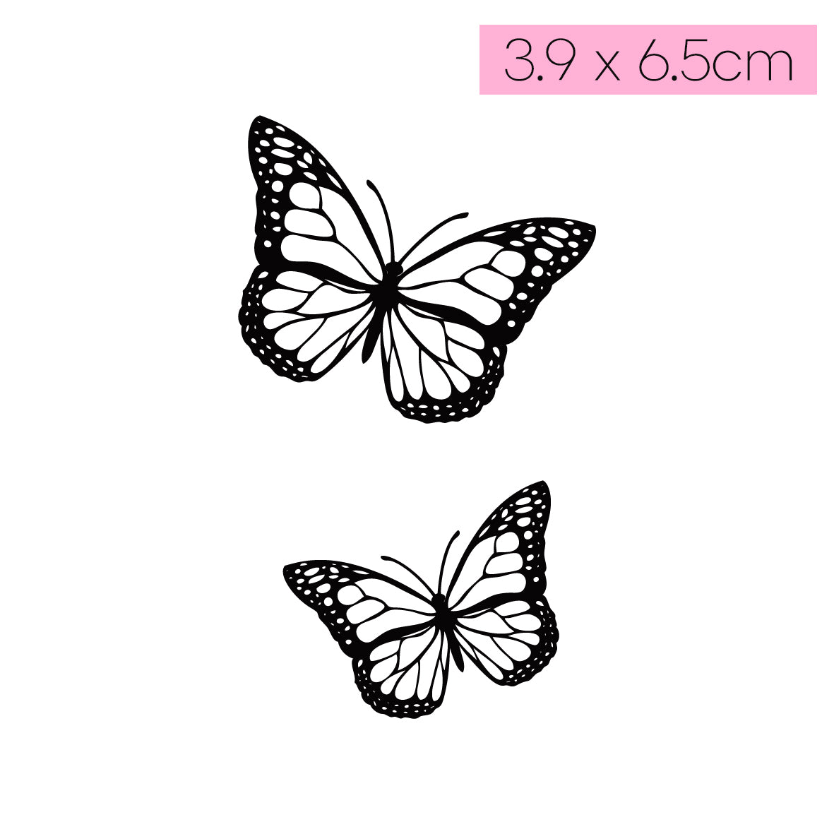 [Q34]Twin Butterflies